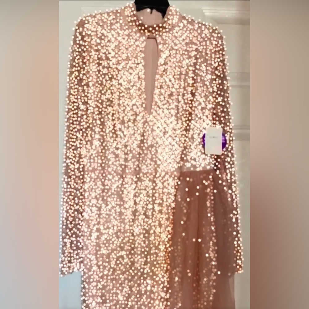 Windsor blush special occasion party dress